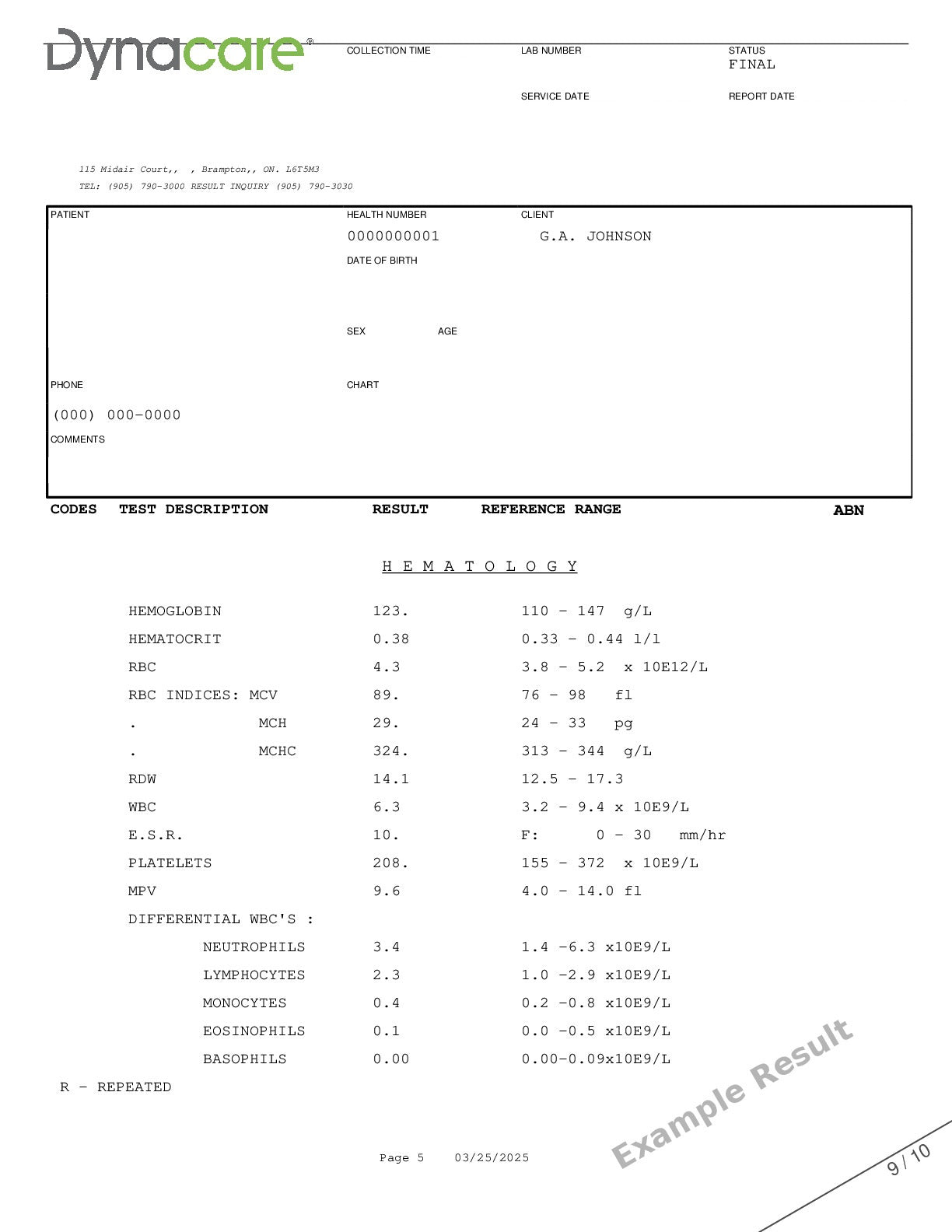 N-Terminal Pro B-Type Natriuretic Peptide (NT-proBNP)